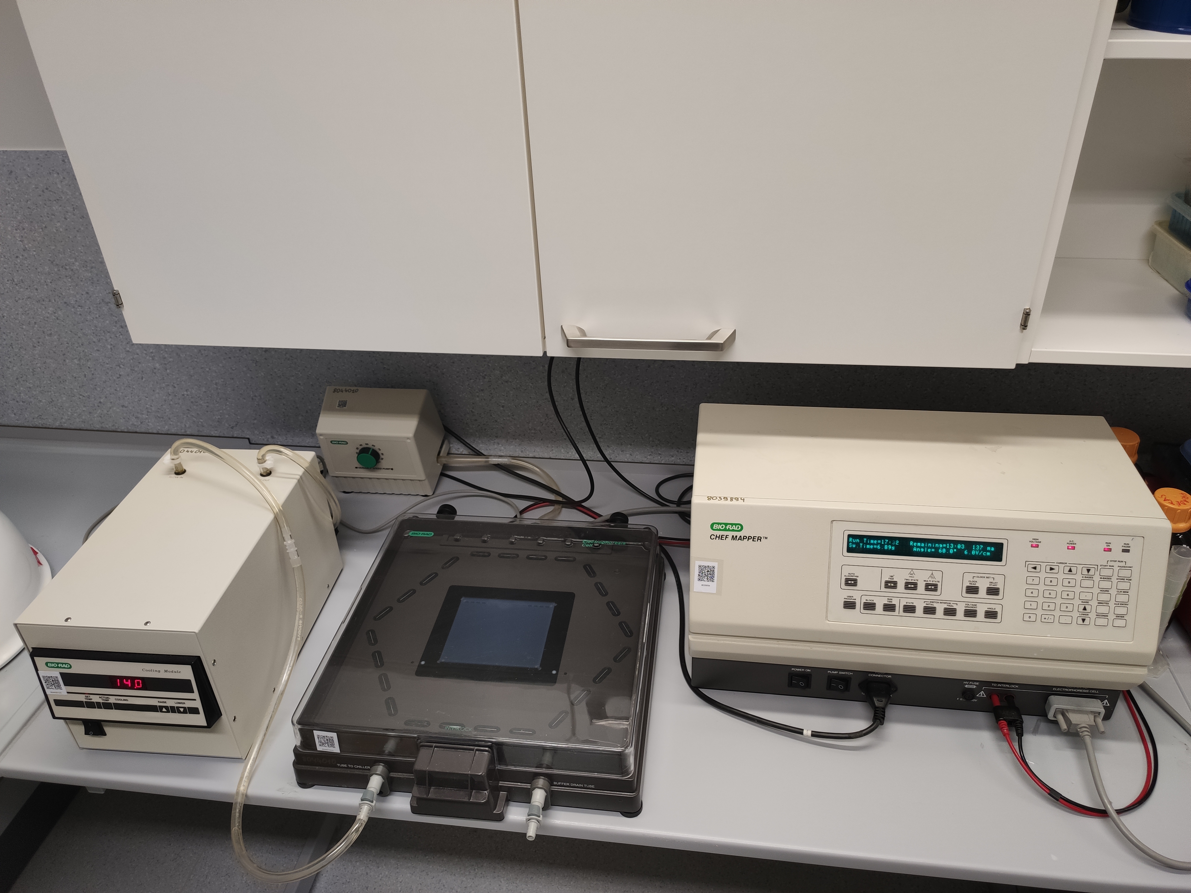 20 Armalyte Pulsed Field Electrophoresis system