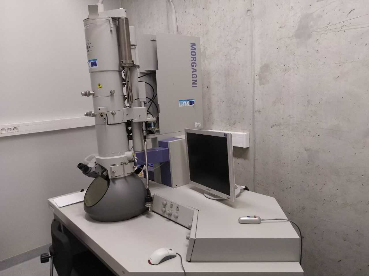 does transmission electron microscope produce 3d images