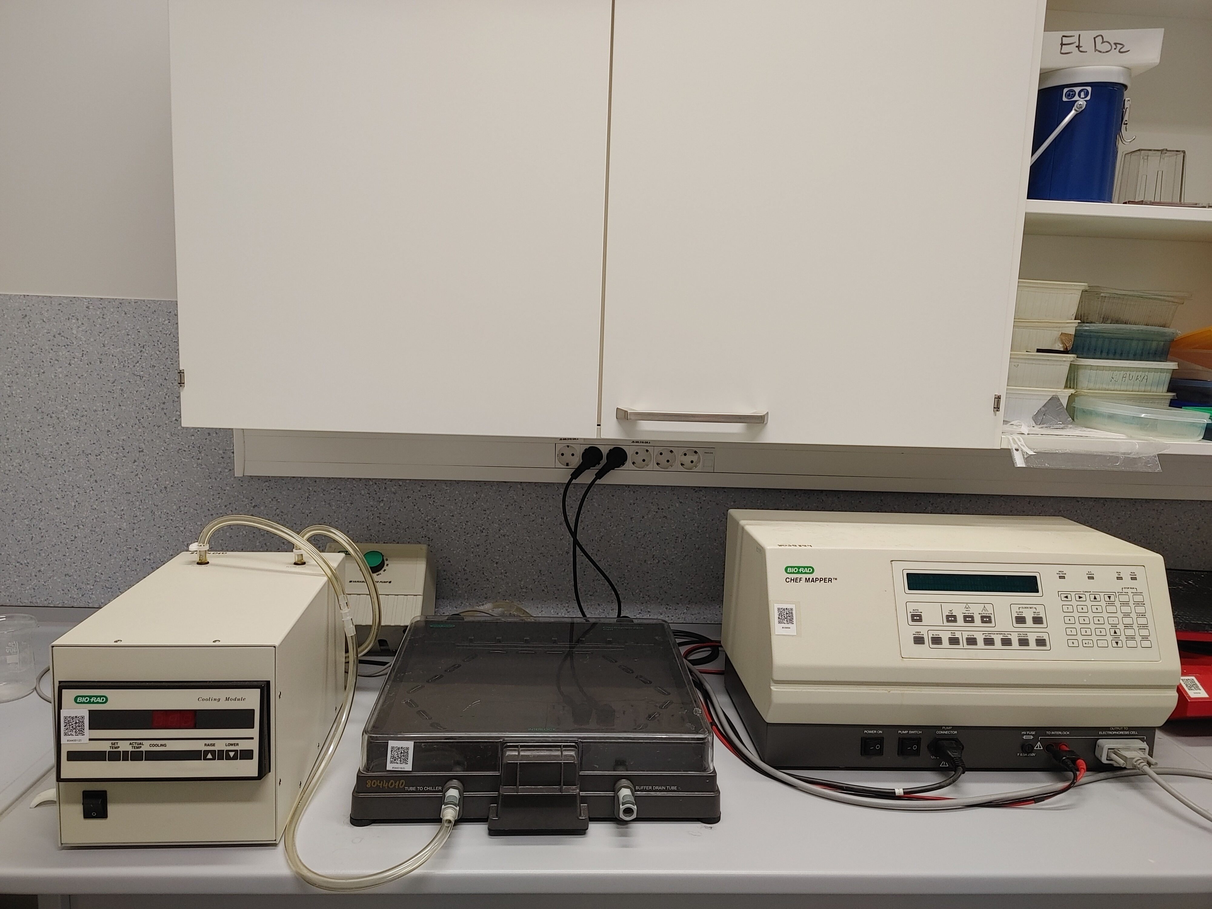 20 Armalyte Pulsed Field Electrophoresis system