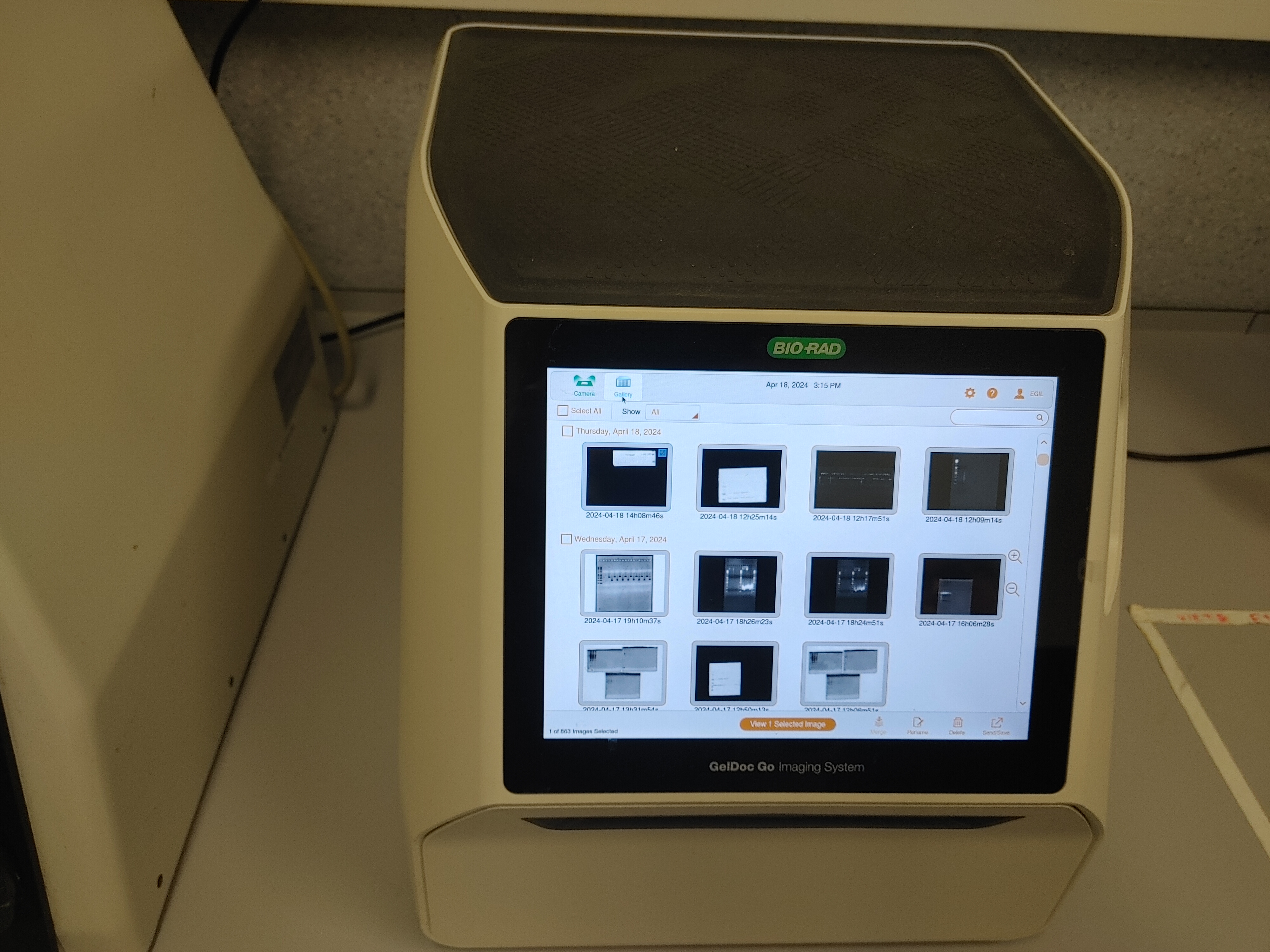 Gel Documentation System BioRad Gel Documentation System BioRad