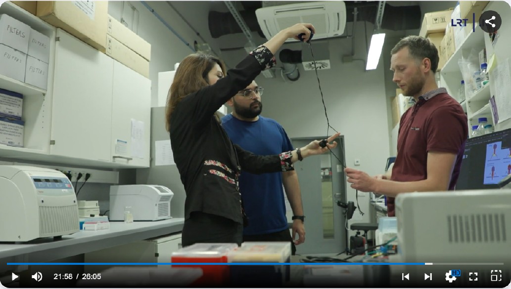 DNA motors smalsumo genas