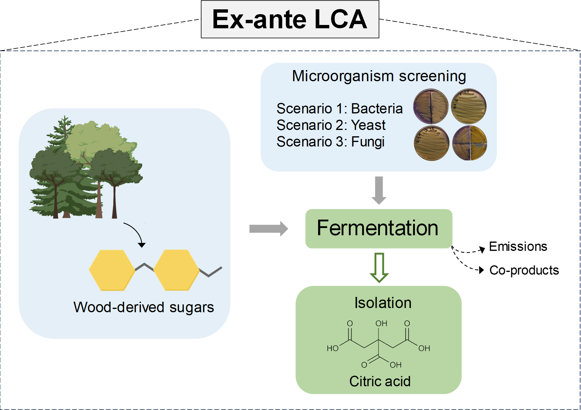 graphical abstract new