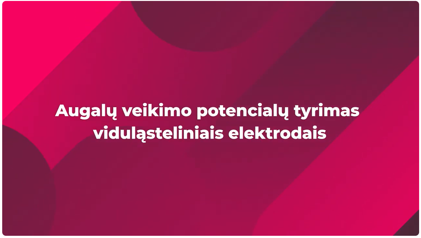 36 Augalų veikimo potencialų tyrimas viduląsteliniais elektrodais