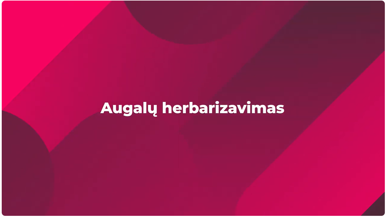 50 Augalų herbarizavimas 