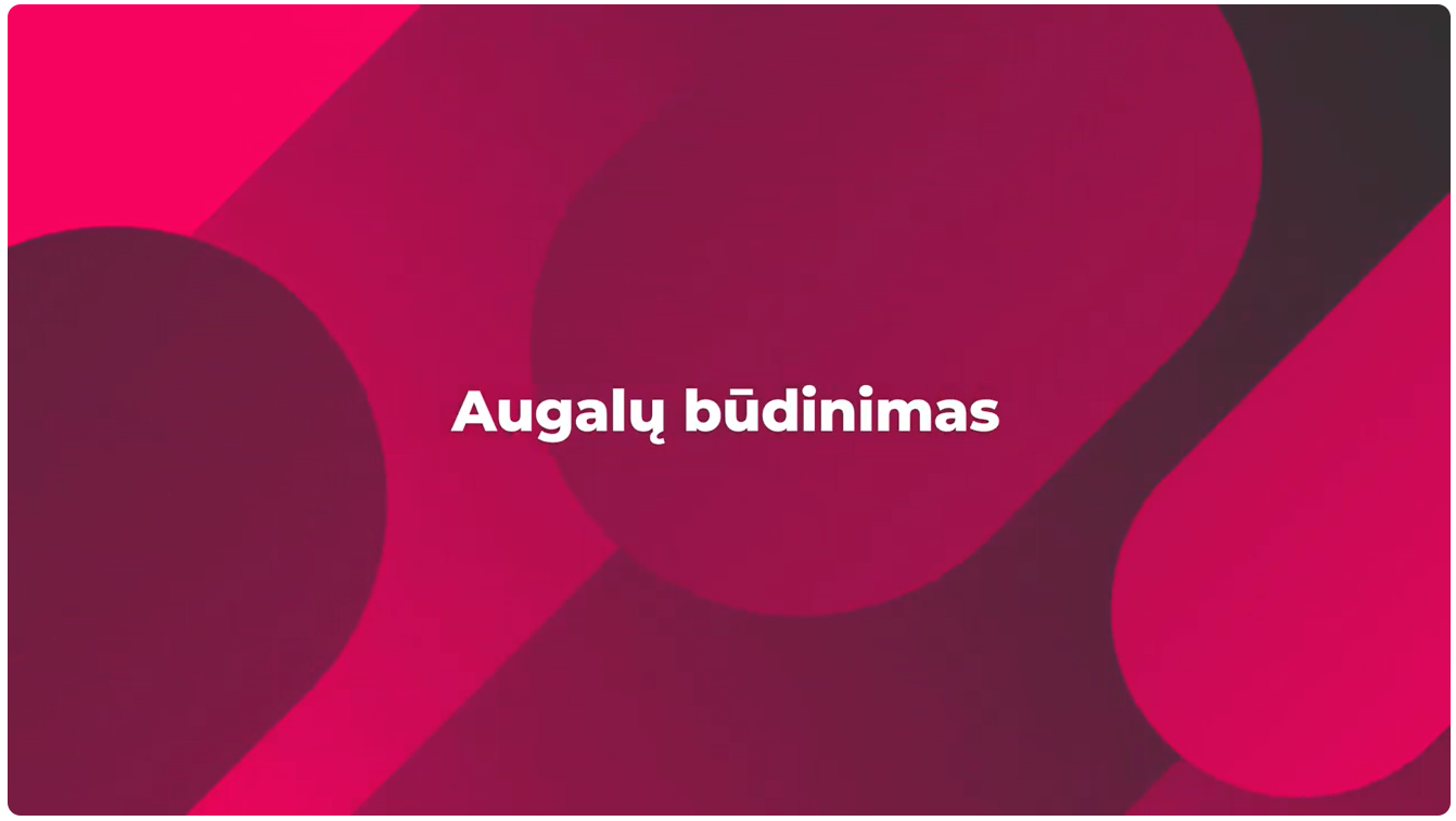 51 Augalų būdinimas