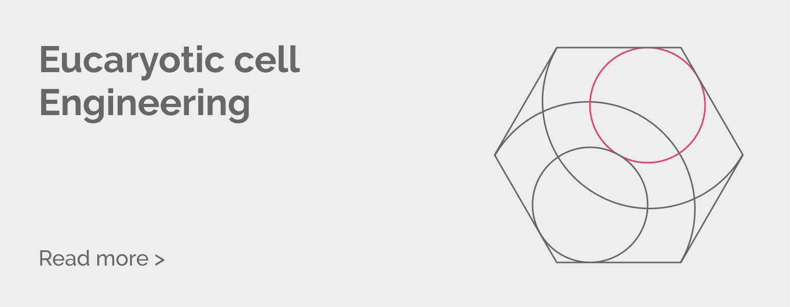 Eucaryotic cell Engineering Core