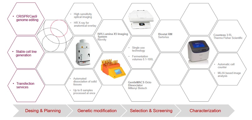 Eucaryotic Cell Engineering