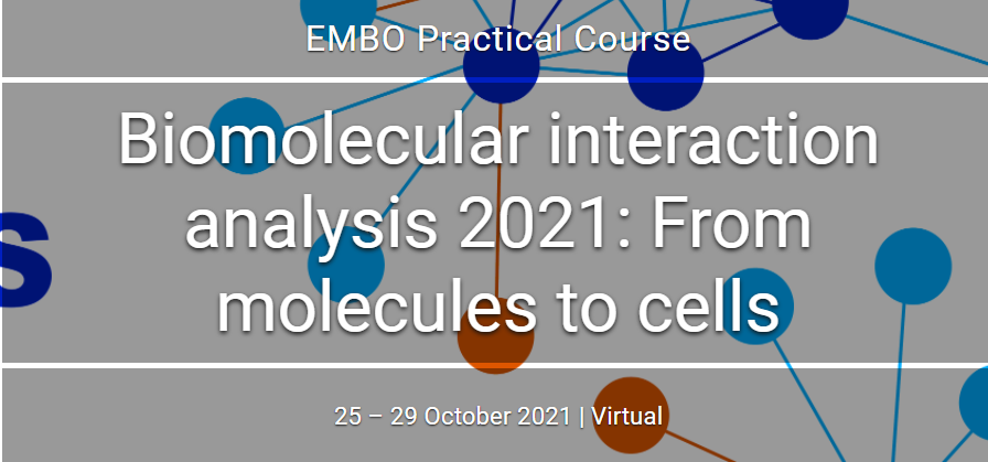 EMBO mokymai 2021 10