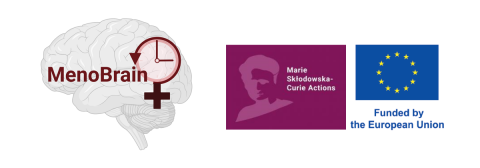 MenoBrain_img.png