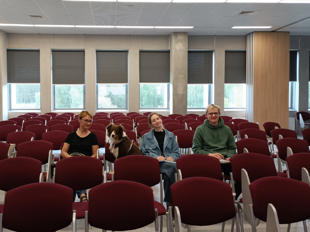 Ilkevic tyreju komanda