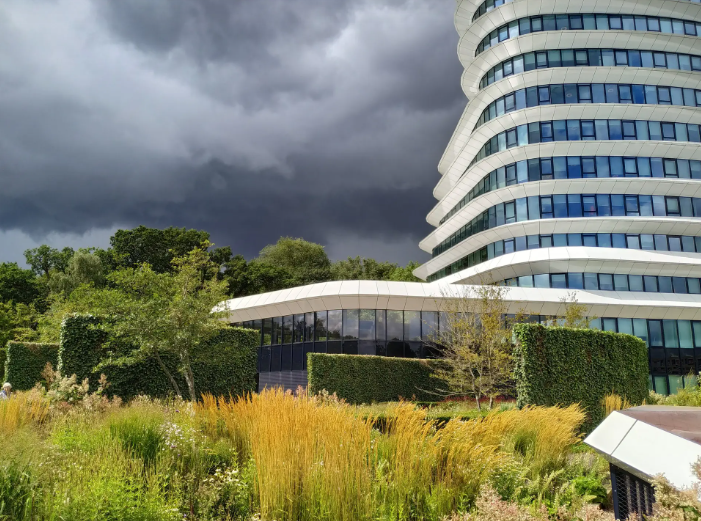 Požeminio garažo stogas Groningene. R. Laurinavičienės asmeninio archyvo nuotr.