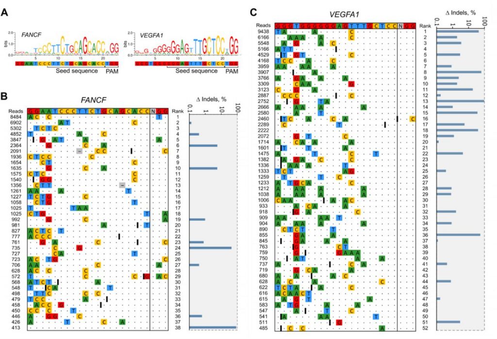 off target vietu nustatymas naudojant CROFT Seq metoda 1024x698