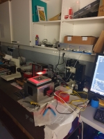 Molecular Motors lab